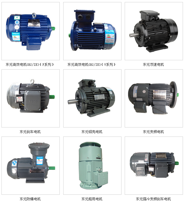 東元低壓電機(jī)常用的幾種類型
