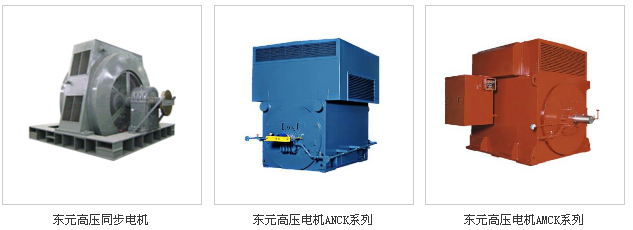 東元高壓電機(jī)其中常用的幾種類型