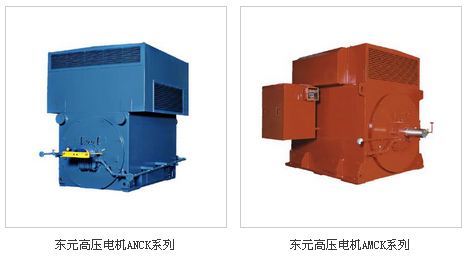 東元高壓電機(jī)部分類型